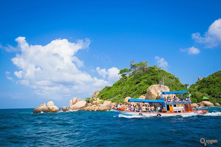 Snorkeltur til Koh Nangyuan og Koh Tao-buktene ved Oxygen