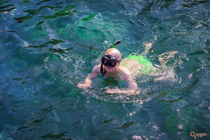 Snorkeltur til Koh Nangyuan og Koh Tao-buktene ved Oxygen