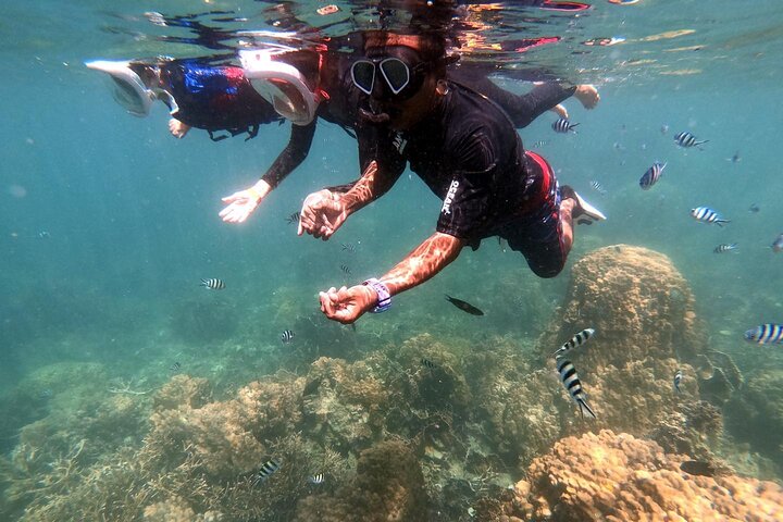 Snorkeltur til Koh Nangyuan og Koh Tao-buktene ved Oxygen