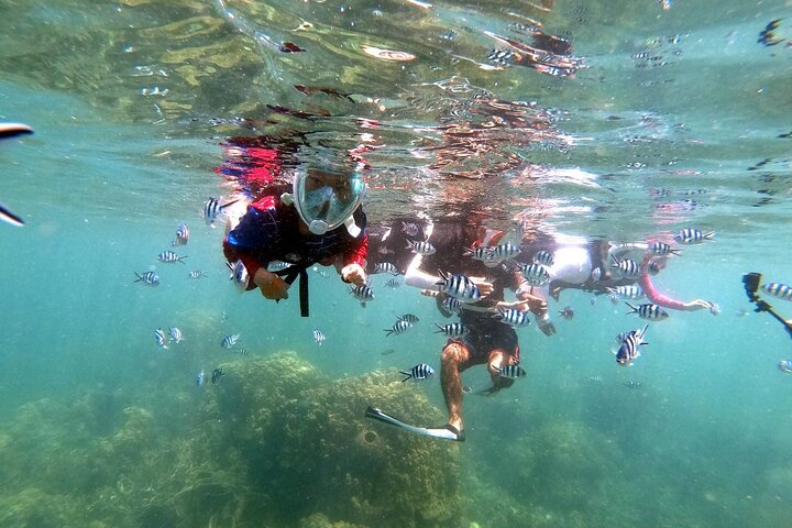 Snorkeltur til Koh Nangyuan og Koh Tao-buktene ved Oxygen