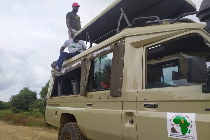 Tour di un giorno al parco nazionale di Samburu Nyeri