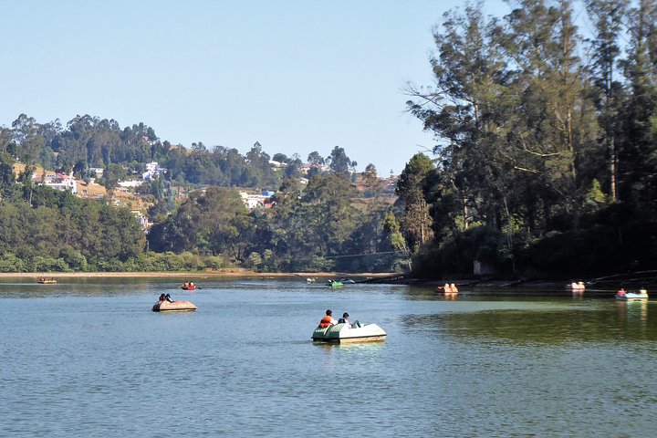 Principali attrazioni turistiche di Ooty (tour guidato della città di un'intera giornata in auto)