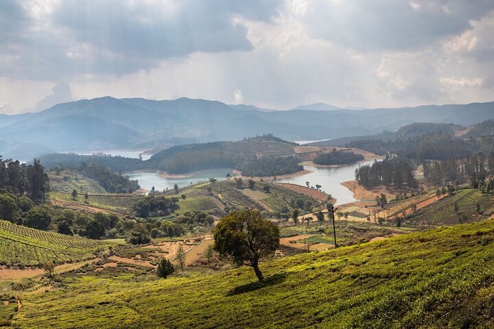 Dagstur til Coonoor (guidet sightseeingtur med bil fra Ooty)