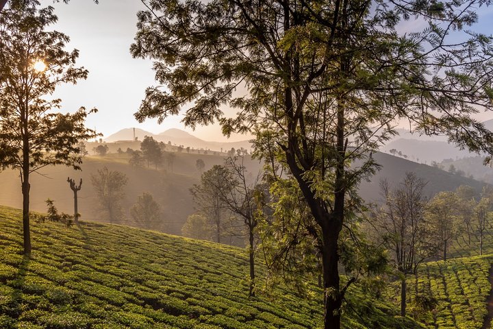 Dagstur til Coonoor (guidet sightseeingtur med bil fra Ooty)