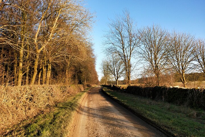 A excursão privada de um dia de bicicleta elétrica em Cotswolds começa perto de Oxford