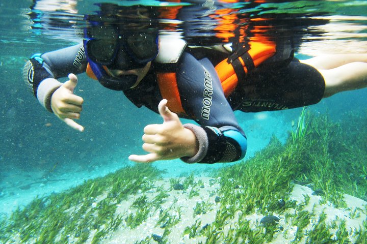 Snorkle i Sucuri-elven