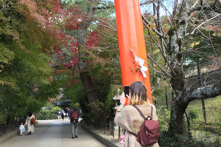 Kyoto teby for matcha-elskere