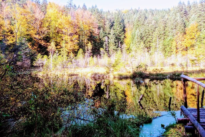 Tour di un'intera giornata ai Carpazi Scole Bescides National Park e Tustan da Leopoli