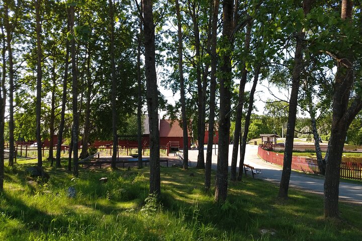 Visite privée d'une heure des célèbres tumulus d'Old Uppsala et de l'église médiévale