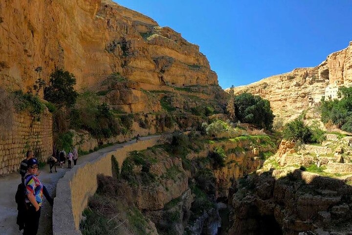 Monasteries of the Judean Desert Private Tour