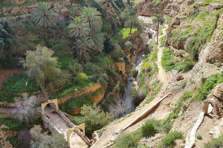 Monasteries of the Judean Desert Private Tour