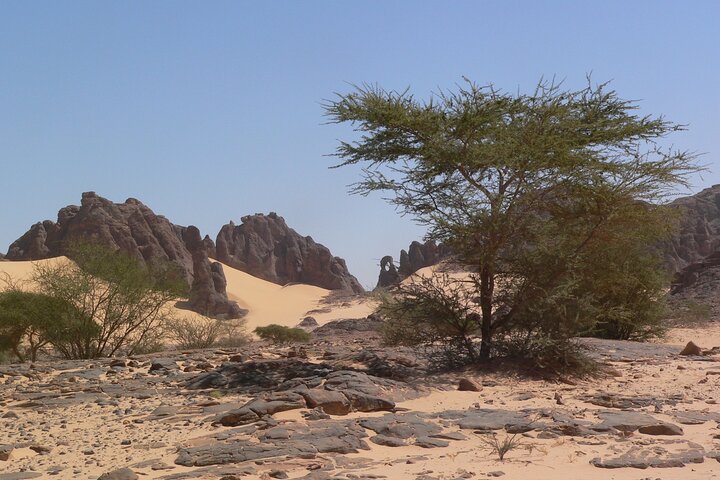 SAHARA -Self Drive Ennedi