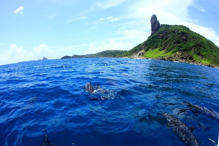 Boottocht in Fernando de Noronha