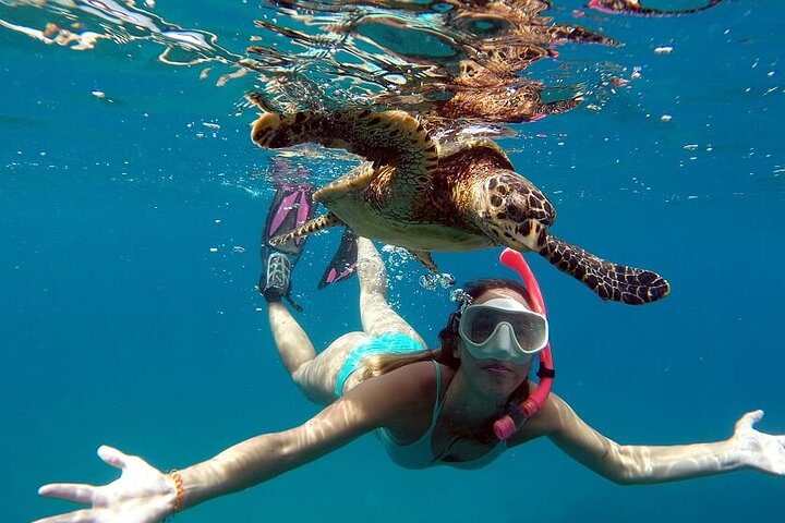 Boottocht in Fernando de Noronha