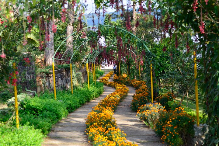 Dagstur til Mawlynnong (Guidet privat sightseeingopplevelse fra Shillong)