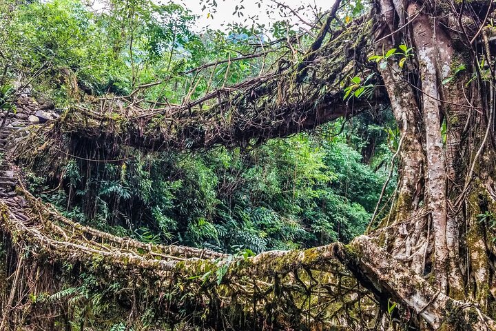 Dagstur til Mawlynnong (Guidet privat sightseeingopplevelse fra Shillong)