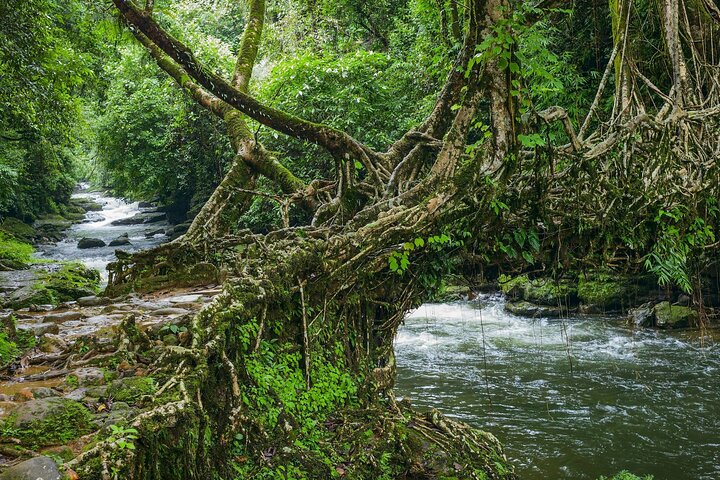 Dagstur til Mawlynnong (Guidet privat sightseeingopplevelse fra Shillong)