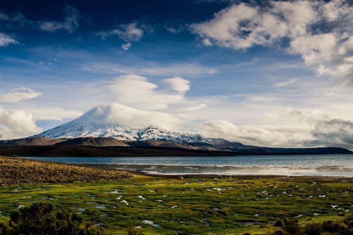 Privat Lauca National Park & Chungara Lake fra Arica