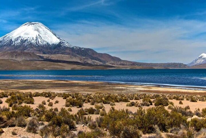 Privat Lauca National Park & Chungara Lake fra Arica
