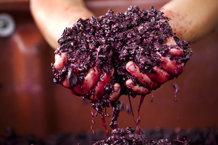 Yarra Valley: Tour en grupo pequeño de comida y vino desde Melbourne