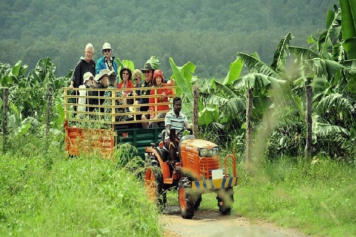 Besøk til en økologisk gård i Cumbum Valley med Bullock Cart ride