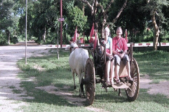 Besøk til en økologisk gård i Cumbum Valley med Bullock Cart ride