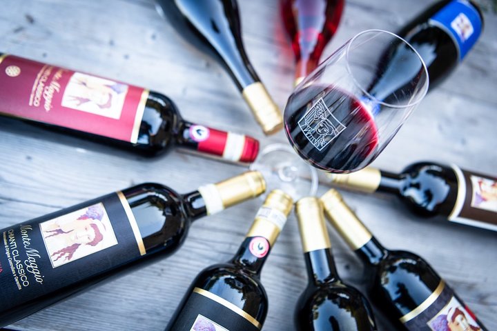 Tour e degustação em uma vinícola orgânica no coração da área de Chianti Classico