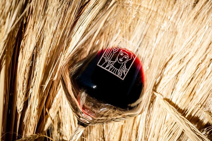 Tour e degustação em uma vinícola orgânica no coração da área de Chianti Classico