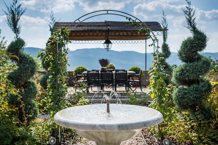 Tour e degustação em uma vinícola orgânica no coração da área de Chianti Classico