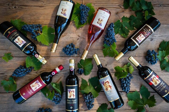 Tour e degustação em uma vinícola orgânica no coração da área de Chianti Classico
