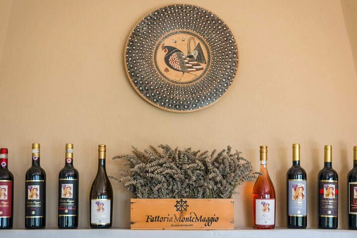 Tour e degustação em uma vinícola orgânica no coração da área de Chianti Classico