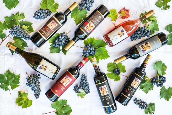 Tour e degustação em uma vinícola orgânica no coração da área de Chianti Classico