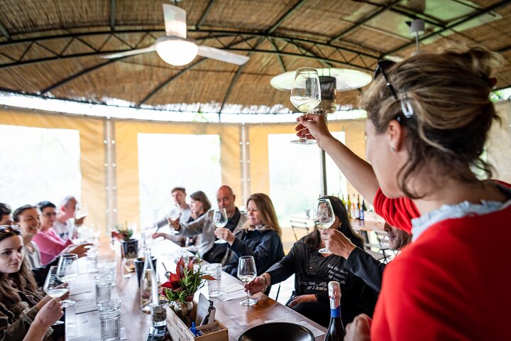 Tour e degustação em uma vinícola orgânica no coração da área de Chianti Classico