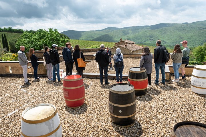 Tour e degustação em uma vinícola orgânica no coração da área de Chianti Classico