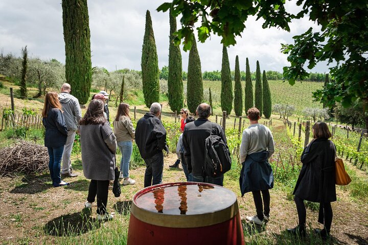 Tour e degustação em uma vinícola orgânica no coração da área de Chianti Classico