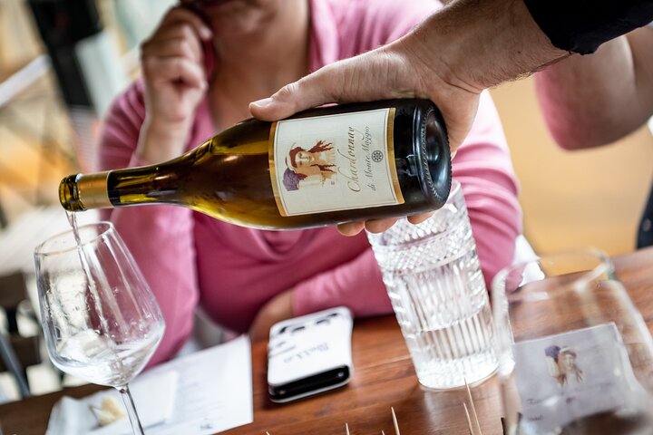 Tour e degustação em uma vinícola orgânica no coração da área de Chianti Classico