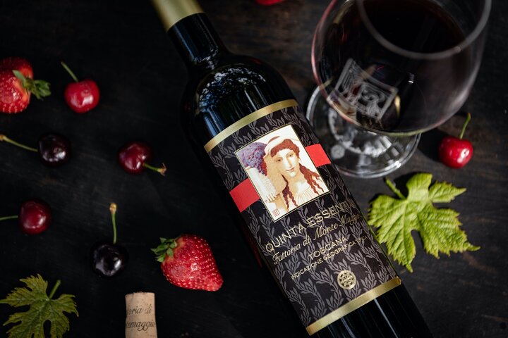 Tour e degustação em uma vinícola orgânica no coração da área de Chianti Classico