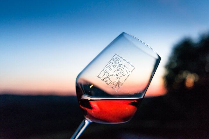 Tour e degustação em uma vinícola orgânica no coração da área de Chianti Classico