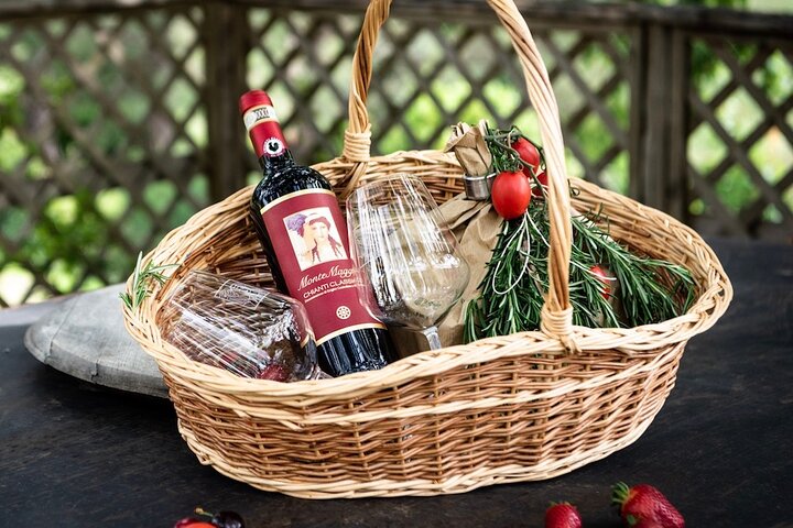 Tour e degustação em uma vinícola orgânica no coração da área de Chianti Classico