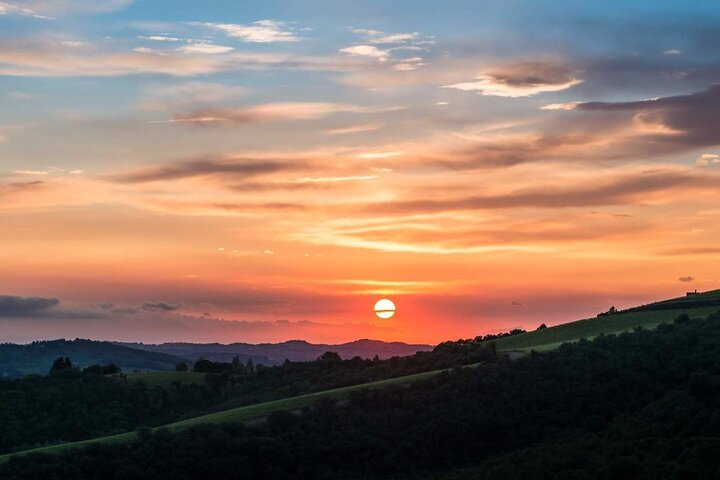 Tour e degustação em uma vinícola orgânica no coração da área de Chianti Classico
