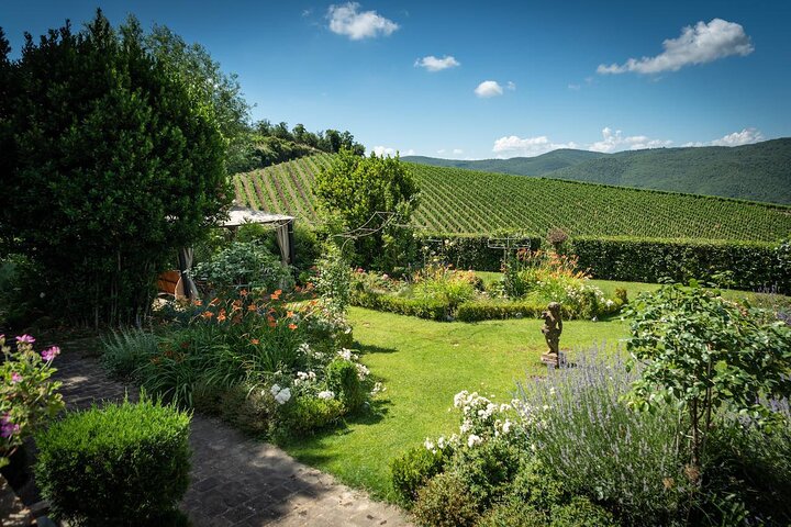 Tour e degustação em uma vinícola orgânica no coração da área de Chianti Classico