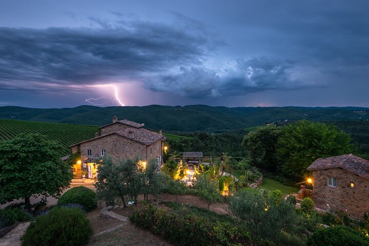 Tour e degustação em uma vinícola orgânica no coração da área de Chianti Classico