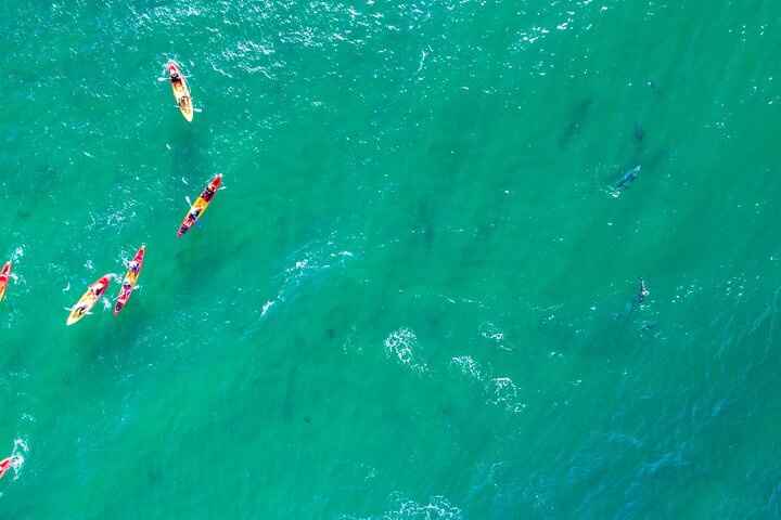 Hoteller i nærheden af Byron Bay Sea Kayak Tour