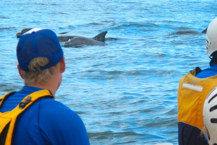 Hoteller i nærheden af Byron Bay Sea Kayak Tour