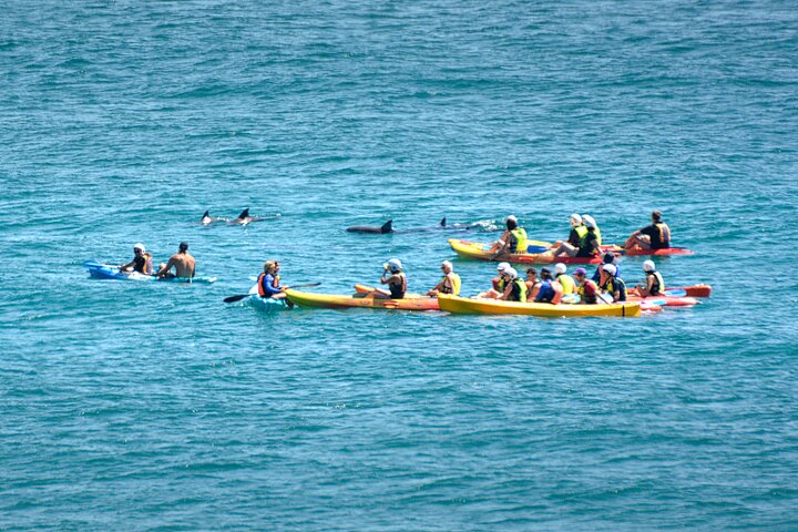 Hoteller i nærheden af Byron Bay Sea Kayak Tour