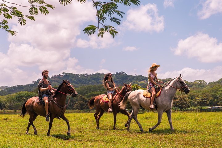 Paseos a caballo a la playa de Conchal desde Tamarindo & Flamingo