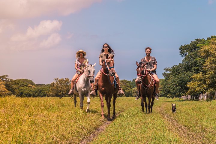 Paseos a caballo a la playa de Conchal desde Tamarindo & Flamingo