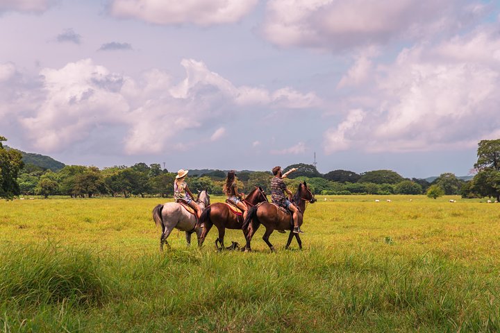 Paseos a caballo a la playa de Conchal desde Tamarindo & Flamingo