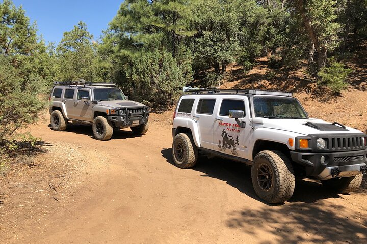Tour privati di avventura fuoristrada nella foresta nazionale di Prescott