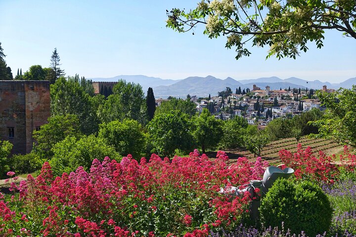 Alhambra e Generalife Tour Premium Salta la Coda inclusi i Palazzi Nasridi